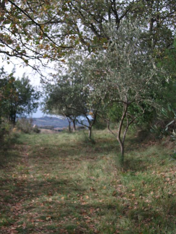 Poggio Del Conero Βίλα Εξωτερικό φωτογραφία